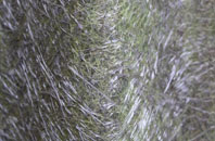 Keysoe fibreglass roof work